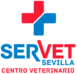 Veterinario Servet