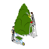 Mantenimiento de comunidades