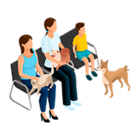 Consulta veterinaria a domicilio